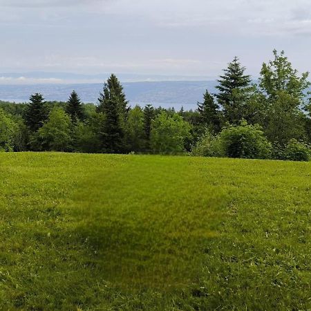Appartamento Le Panoramic Thollon-les-Memises Esterno foto
