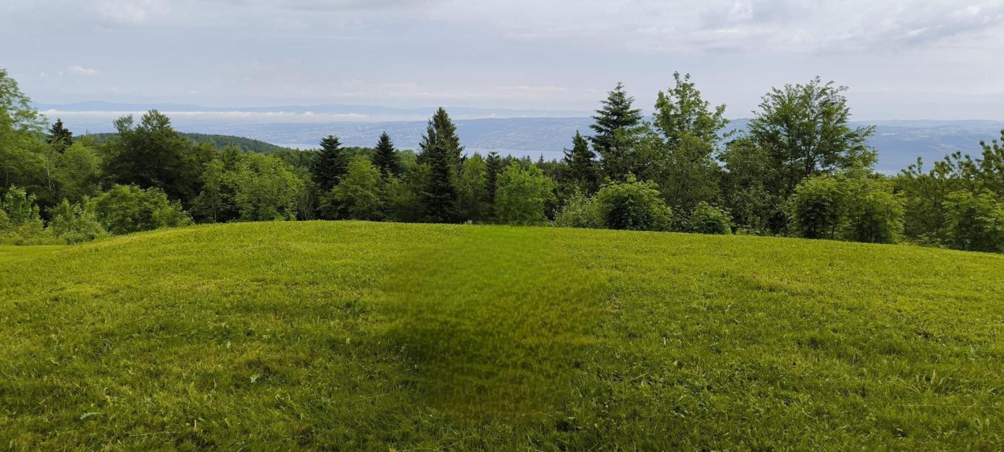 Appartamento Le Panoramic Thollon-les-Memises Esterno foto